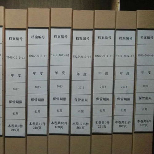 南阳国有企业人事档案标准化整理流程详解